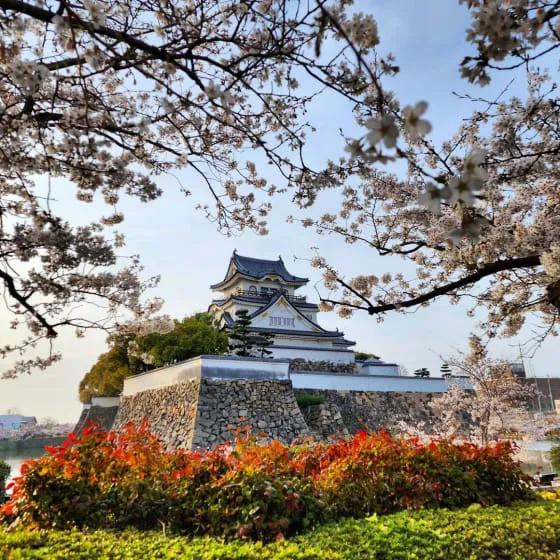 Osaka castle